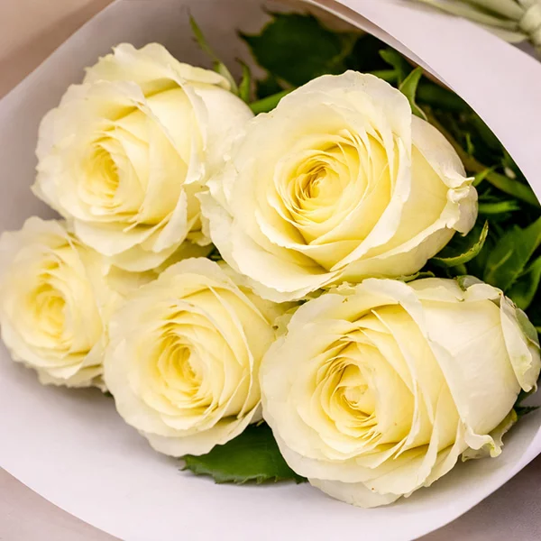Букет из белых роз (50-60 см)